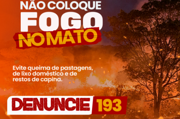 Não coloque fogo no mato