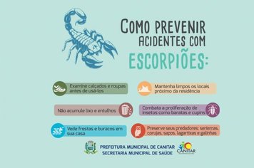 Como Prevenir acidentes com escorpiões