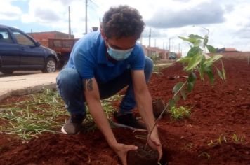 A Prefeitura Municipal por meio da Secretaria de Esporte e Lazer em parceria com a Secretaria de Agricultura e Meio Ambiente, realizou o plantio de mudas de Palmeira e Ipê no Futuro Playground Municipal.