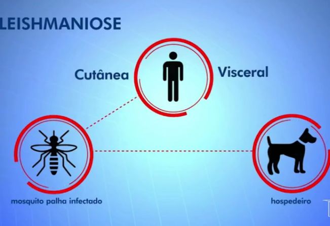 Semana de Prevenção e Controle da Leishmaniose no Estado de SP